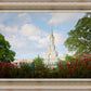 Sacramento Flowers