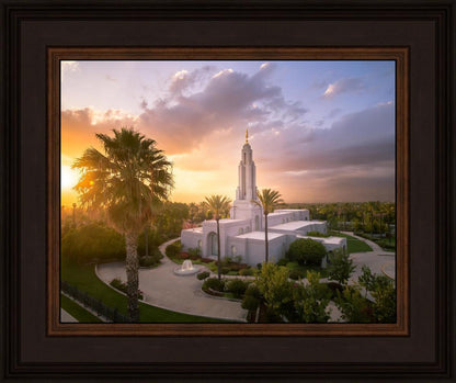 Redlands from on High