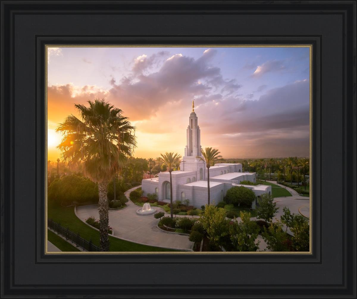 Redlands from on High