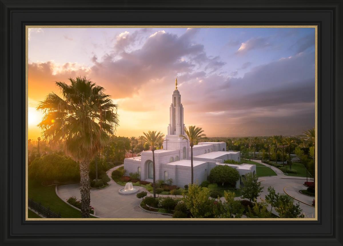 Redlands from on High