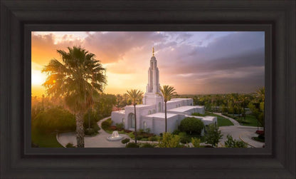 Redlands from on High