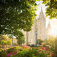 Salt Lake - The Lord is My Light