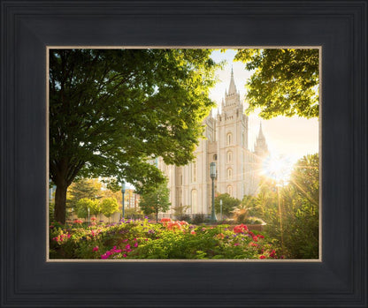 Salt Lake - The Lord is My Light