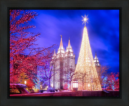 Temple Square Christmas Tree