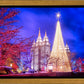 Temple Square Christmas Tree