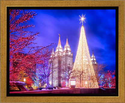 Temple Square Christmas Tree