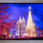 Temple Square Christmas Tree