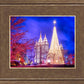 Temple Square Christmas Tree