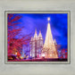 Temple Square Christmas Tree