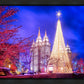Temple Square Christmas Tree