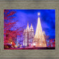 Temple Square Christmas Tree