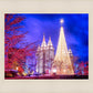 Temple Square Christmas Tree
