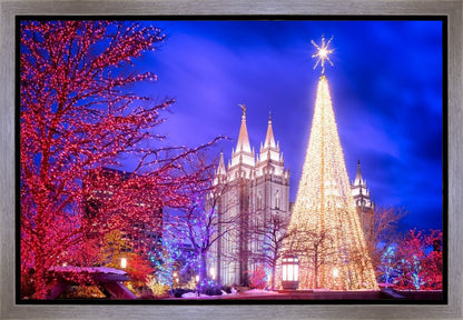 Temple Square Christmas Tree