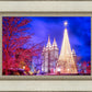 Temple Square Christmas Tree