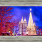 Temple Square Christmas Tree