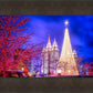 Temple Square Christmas Tree