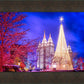 Temple Square Christmas Tree