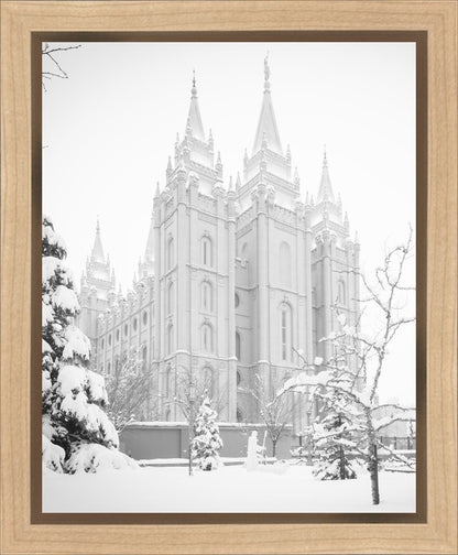 Salt Lake City High Key Snow