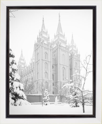 Salt Lake City High Key Snow