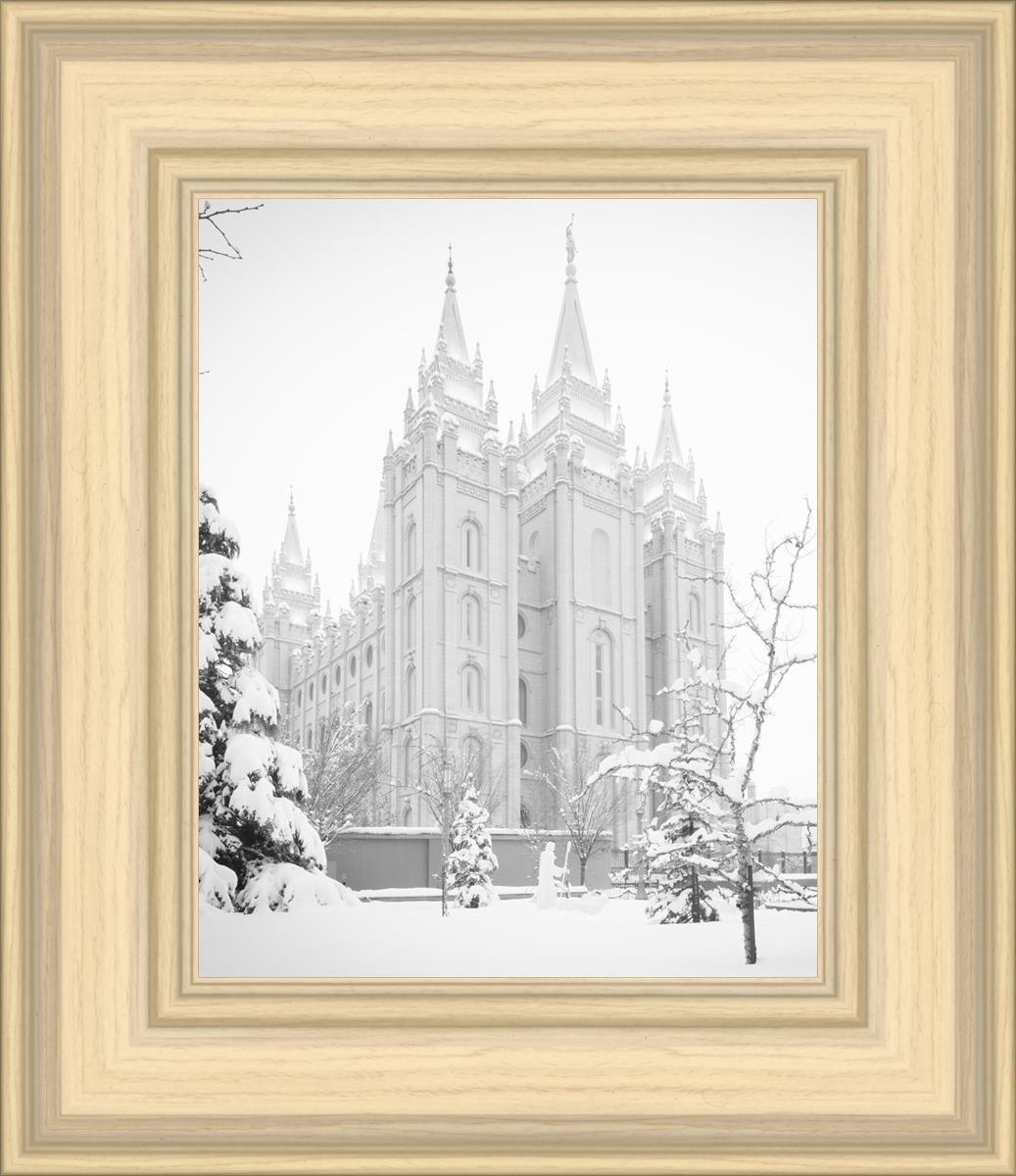 Salt Lake City High Key Snow