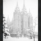 Salt Lake City High Key Snow