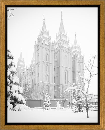 Salt Lake City High Key Snow