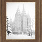 Salt Lake City High Key Snow