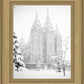 Salt Lake City High Key Snow
