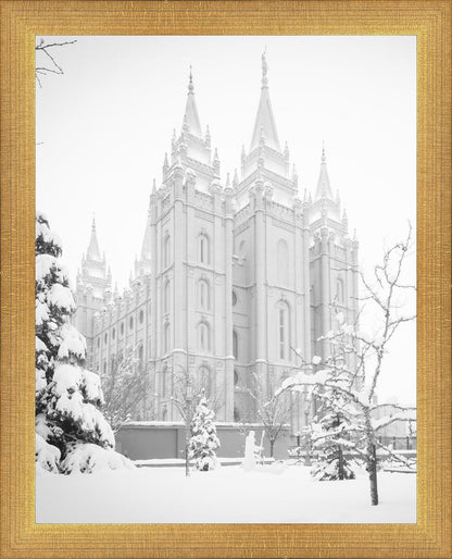 Salt Lake City High Key Snow