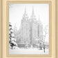 Salt Lake City High Key Snow