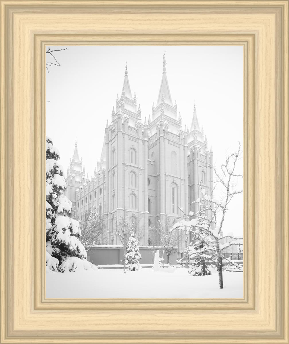 Salt Lake City High Key Snow