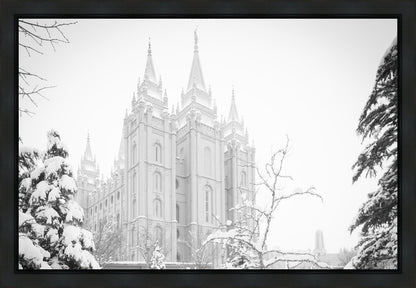 Salt Lake City High Key Snow