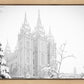 Salt Lake City High Key Snow