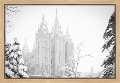 Salt Lake City High Key Snow