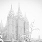 Salt Lake City High Key Snow