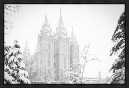 Salt Lake City High Key Snow