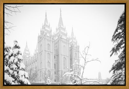 Salt Lake City High Key Snow
