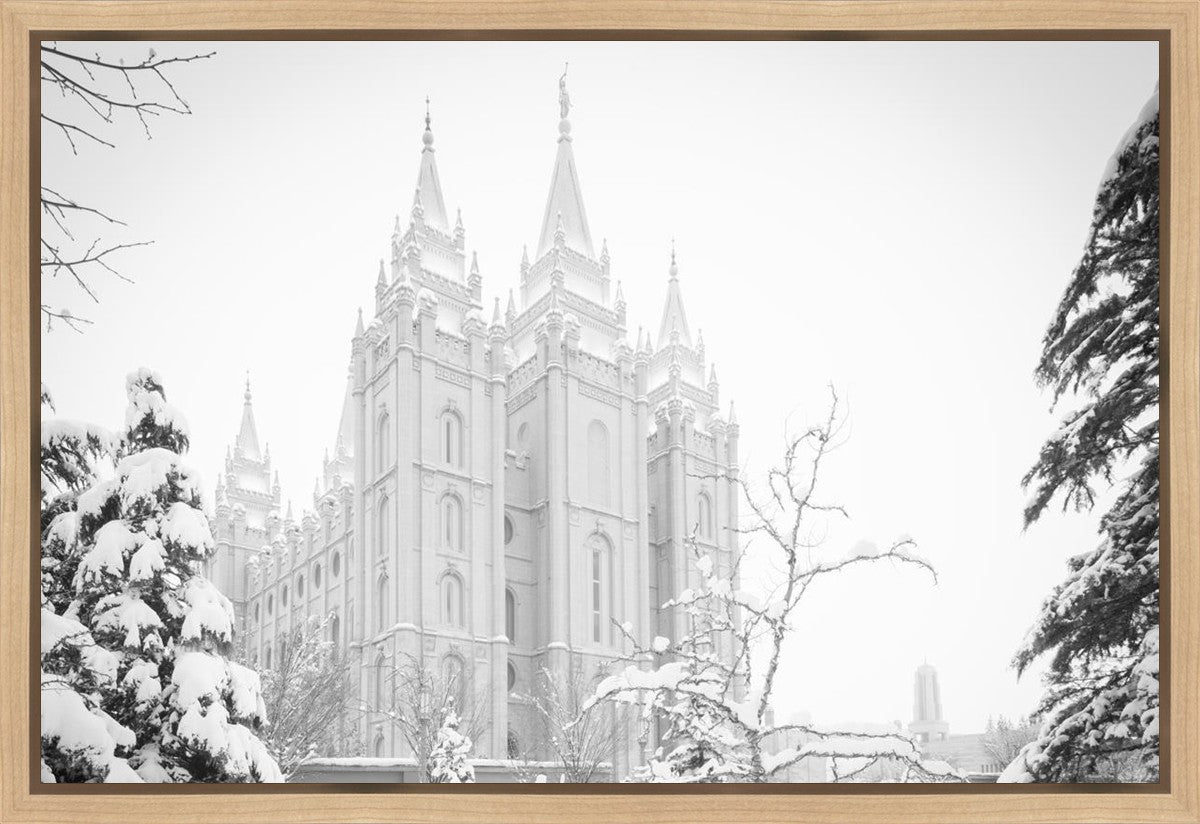 Salt Lake City High Key Snow Gallery Wrap