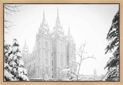 Salt Lake City High Key Snow