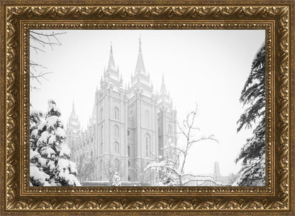 Salt Lake City High Key Snow