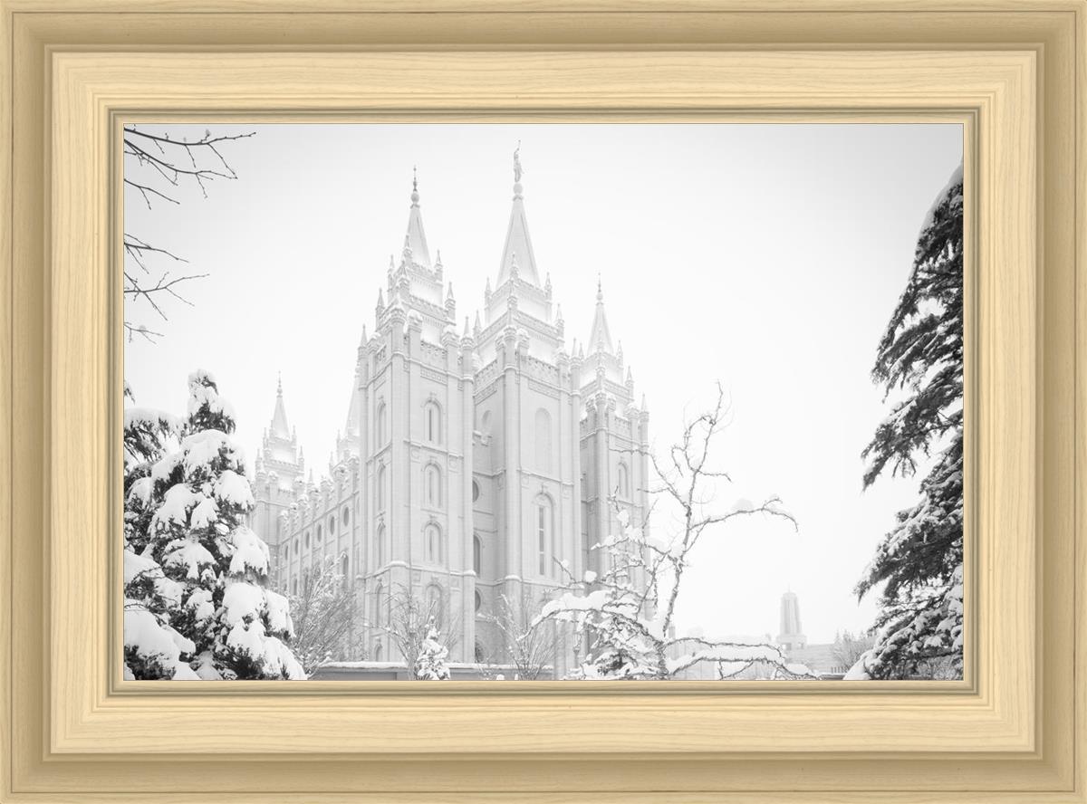 Salt Lake City High Key Snow