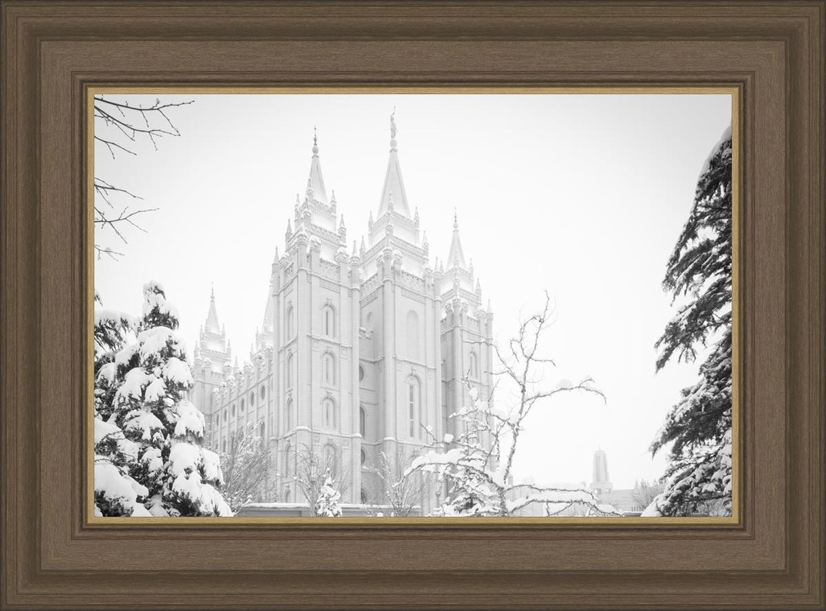 Salt Lake City High Key Snow
