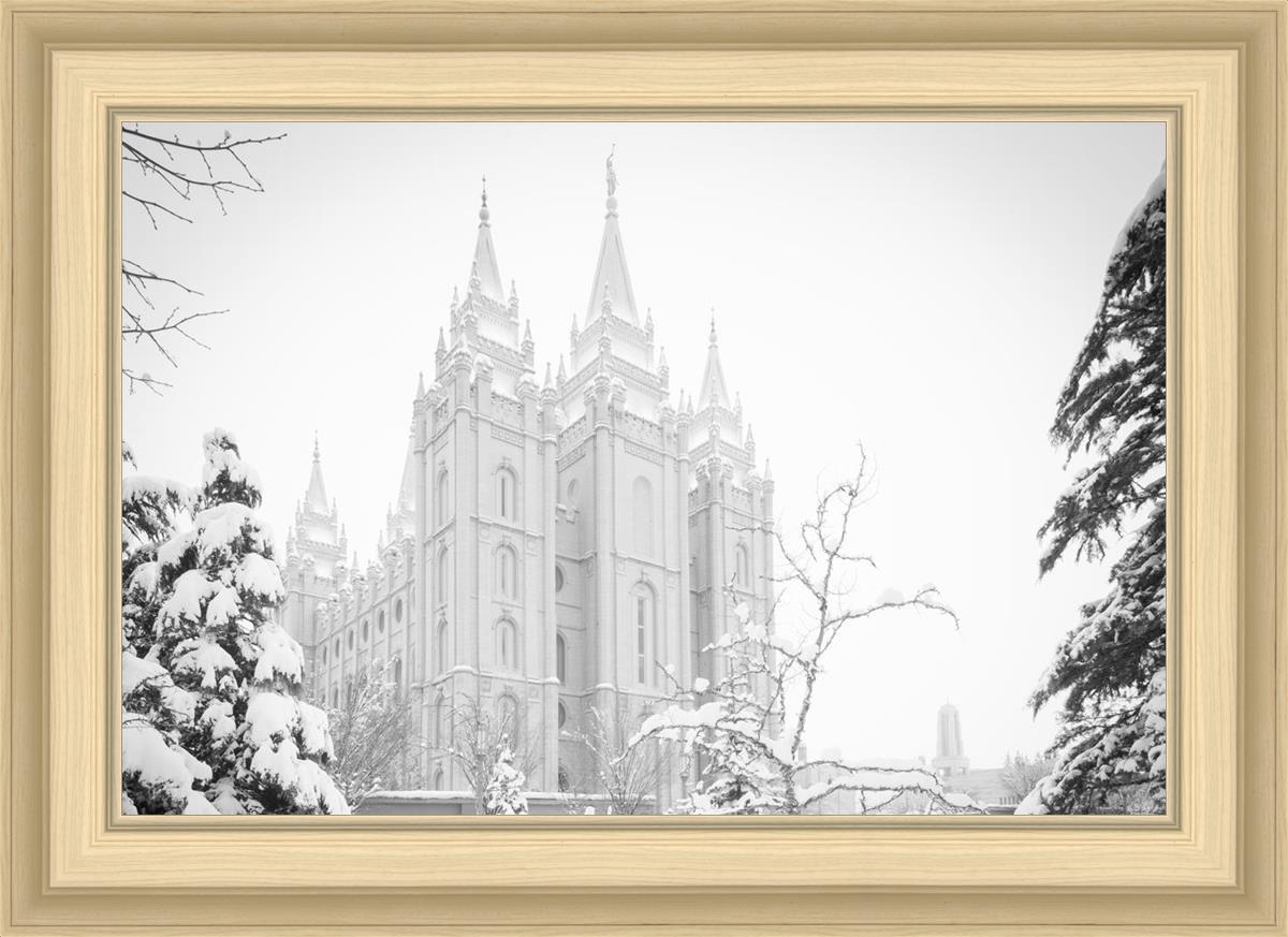 Salt Lake City High Key Snow