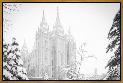 Salt Lake City High Key Snow