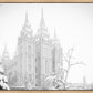 Salt Lake City High Key Snow
