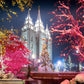 Salt Lake City Christmas Lights