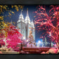 Salt Lake City Christmas Lights