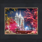 Salt Lake City Christmas Lights