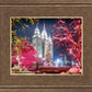 Salt Lake City Christmas Lights