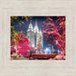 Salt Lake City Christmas Lights